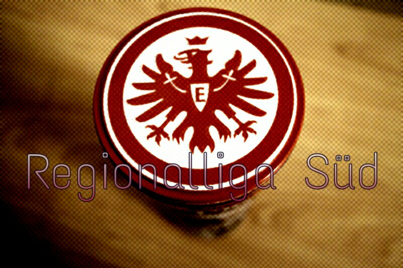 Regionalliga Süd